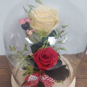 Rosas preservadas