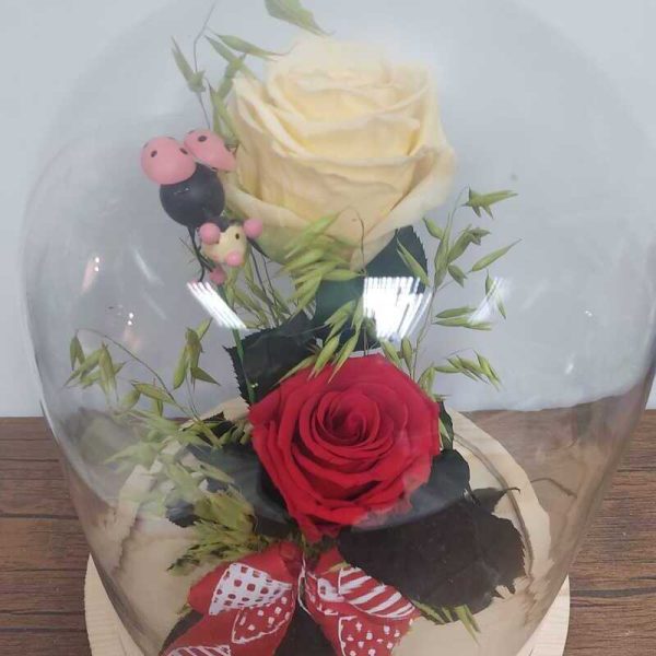 Rosas preservadas
