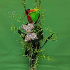 Rosa preservada multicolor